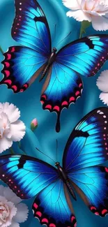 Blue butterflies and white flowers on turquoise background.