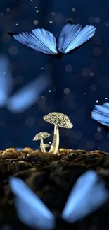 Blue butterflies flutter above glowing mushrooms in a dark forest wallpaper.