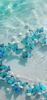 Blue butterflies over turquoise water backdrop