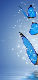 Blue butterflies on a sparkling fantasy background with water reflection.