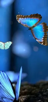 Blue butterflies gracefully flying over a blurred, dreamy background.