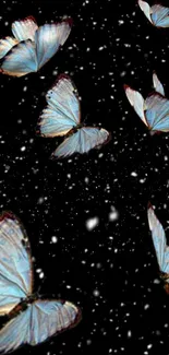 Blue butterflies flutter in a starry night sky background.