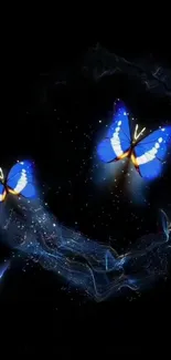 Blue butterflies on black background mobile wallpaper.