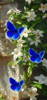 Blue butterflies resting on white flowers amid lush green leaves.