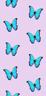 Vibrant blue butterflies on lilac wallpaper.