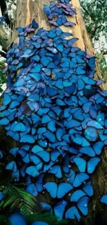 Blue butterflies cover a tree, creating a vibrant natural phone wallpaper.