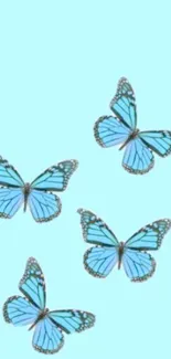 Light blue mobile wallpaper with elegant butterflies on a cyan background.