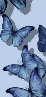 Elegant blue butterflies mobile wallpaper.