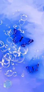 Blue butterflies with bubbles on a soft blue background.