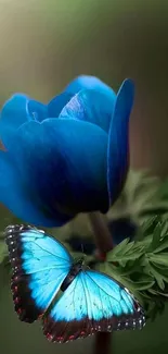 Blue butterfly resting on a blue flower in nature art wallpaper.