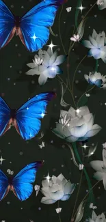 Blue butterflies and white lotus on dark background wallpaper.