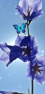 Blue butterfly and purple flowers under sunny sky.