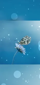 Butterfly rests on a flower with a blue background, adding tranquility to your phone.