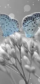 Blue butterflies resting on branches in a nature-inspired wallpaper.