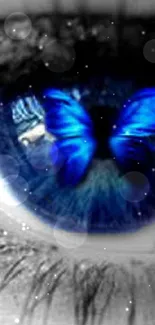 Blue butterfly reflected in a monochrome eye.