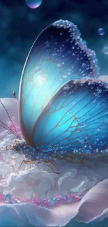 Luminescent blue butterfly on flower with dreamy background.