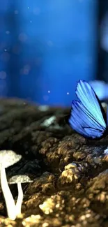 A blue butterfly on glowing mushrooms in a magical, dark forest scene.