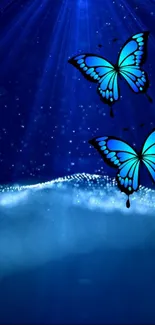 Blue butterflies with shimmering light on a deep blue background.