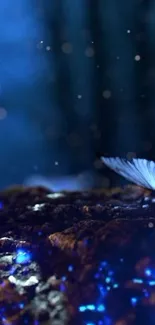 A blue butterfly resting on a glowing forest floor in a magical setting.