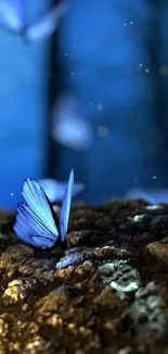 Blue butterfly resting in fantasy forest.