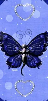 Blue butterfly with floral background mobile wallpaper.