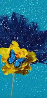 Blue butterfly on yellow flowers with a teal background.