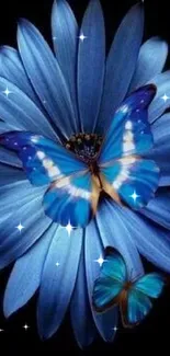 Blue butterflies resting on vibrant flower.