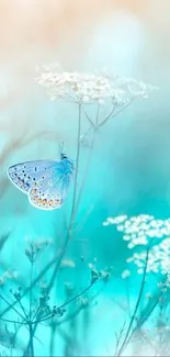 Blue butterfly among white flowers in a soft turquoise setting.