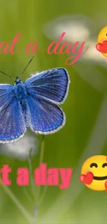 Blue butterfly on green grass with inspiring text 'What a day' and heart emoji.