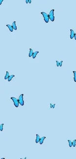 Patterned blue butterfly wallpaper on light blue background.