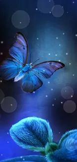 A striking blue butterfly against a serene backdrop for phones.