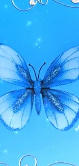 Blue butterfly with swirls on a phone wallpaper background.