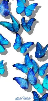 Vibrant blue butterflies on a white background mobile wallpaper.