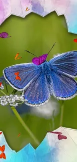 Blue butterfly on a pastel background with watercolor accents.