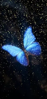 Vibrant blue butterfly in a starry night sky wallpaper.