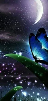 Blue butterfly on leaf under a starry night sky with crescent moon.