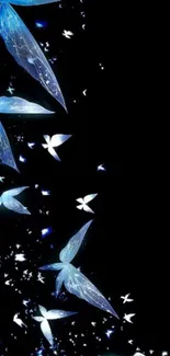 Blue butterflies gracefully against a black background, perfect for phone screens.