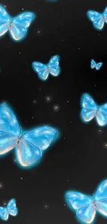 Glowing blue butterflies on a black backdrop.