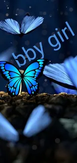 Vivid blue butterfly on a night background.