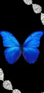 Blue butterfly and diamonds on black background.