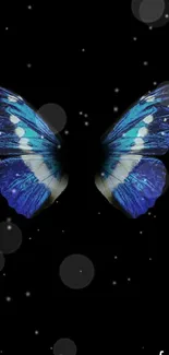 Elegant blue butterfly on a black background wallpaper.