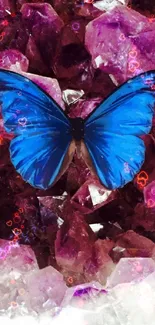 Blue butterfly resting on vibrant purple crystals