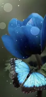 Blue butterfly perched gracefully on a vibrant blue flower.