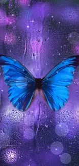 Vibrant blue butterfly resting on a purple glittery surface with raindrops.