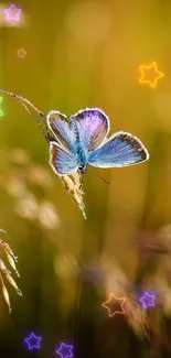 Blue butterfly perched on golden grass in a serene outdoor setting.