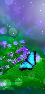 Blue butterfly on a green leaf with purple flowers in the background.