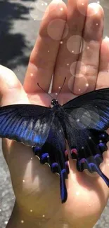 Blue butterfly resting on an open palm outdoors.