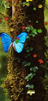 Vivid blue butterfly on a tree in a green forest setting.