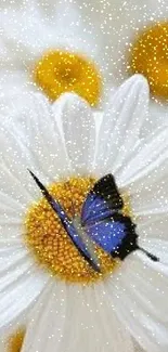 Blue butterfly on white daisy wallpaper with yellow center.