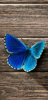 Vibrant blue butterfly on a rustic wooden background mobile wallpaper.